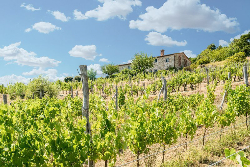 Ville E Tenute Con Vigneto: Investire Nel Lifestyle Toscano