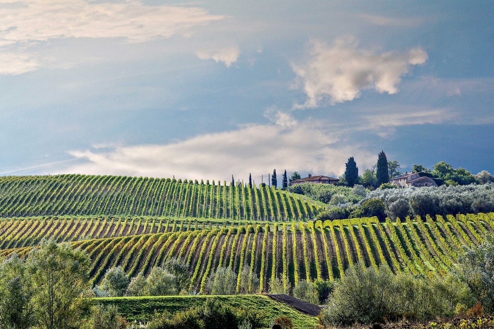 Colline Pisane, un itinerario tra vini e proprietà di prestigio