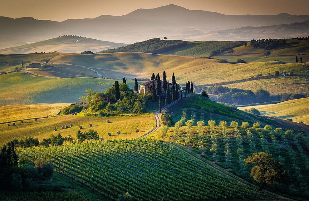 Il Nuovo Lusso È Avere Terra: Perché Tenute, Uliveti E Vigneti Sono Sempre Più Desiderati