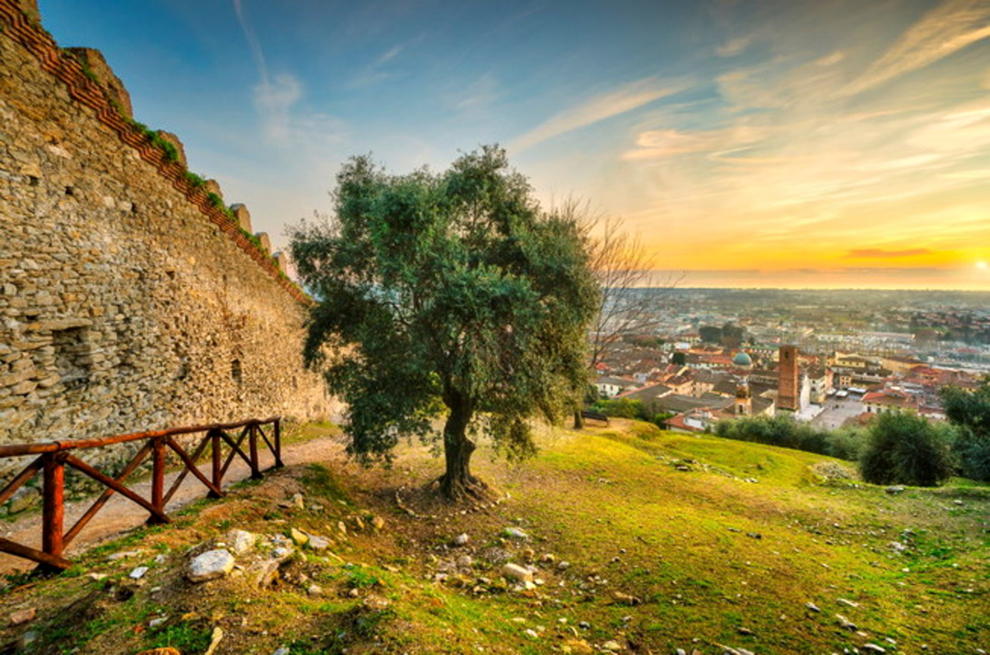 The stronghold Rocca di Sala: a view over Pietrasanta and its luxury villas