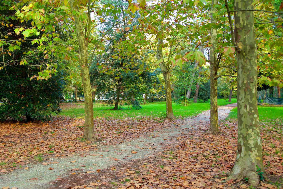 Herbst in der Versilia: Renommierte Villen und Bauernhäuser, die Sie auch außerhalb der Saison genießen können